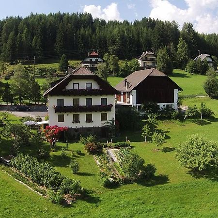 Апартаменты Haus Pfarrkirchner Маутерндорф Экстерьер фото